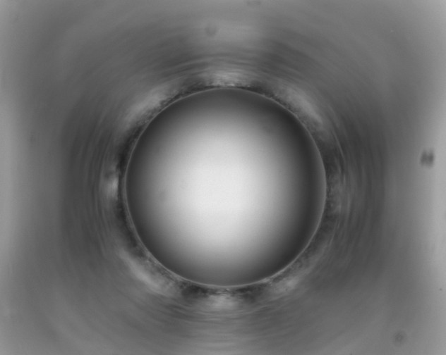 X0000091940310200709051528