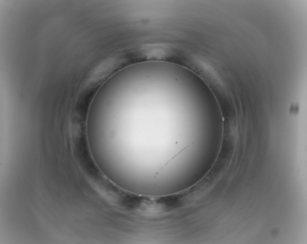 X0000091940311200709051528