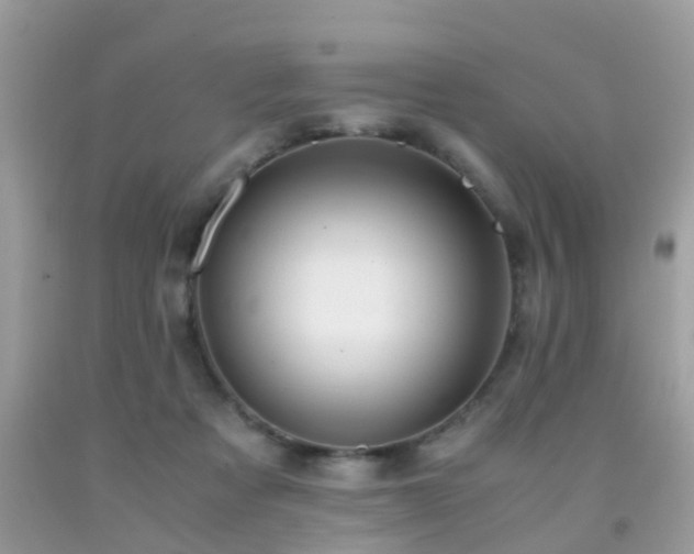 X0000091940313200709051528