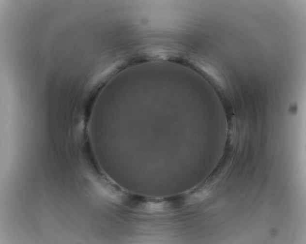 X0000091940314200709051528