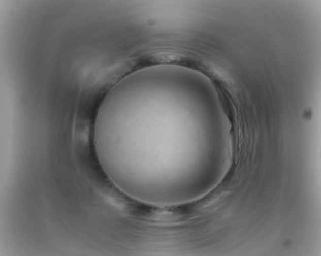 X0000091940315200709051528