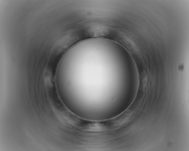 X0000091940316200709051528