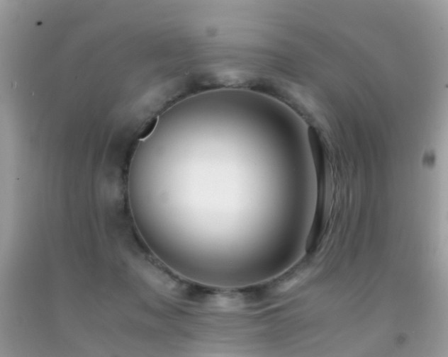 X0000091940317200709051528