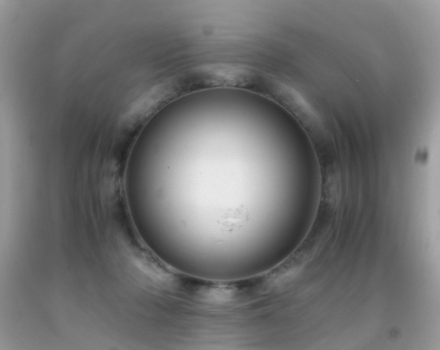 X0000091940318200709051528