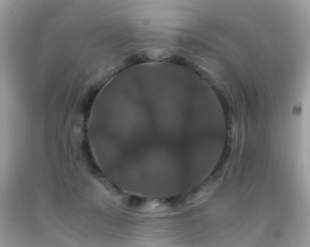 X0000091940319200709051528