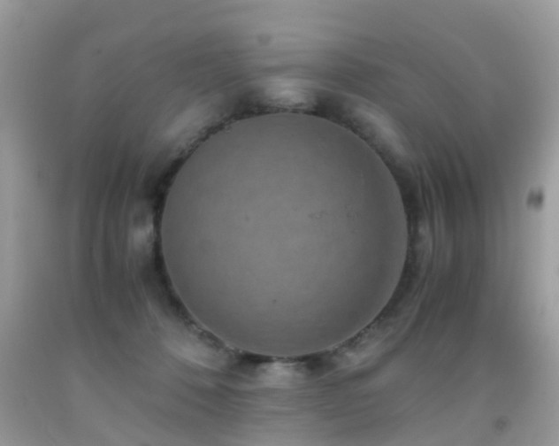 X0000091940320200709051528