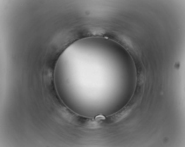 X0000091940321200709051528