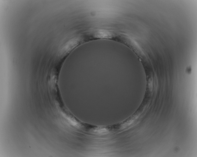 X0000091940322200709051528