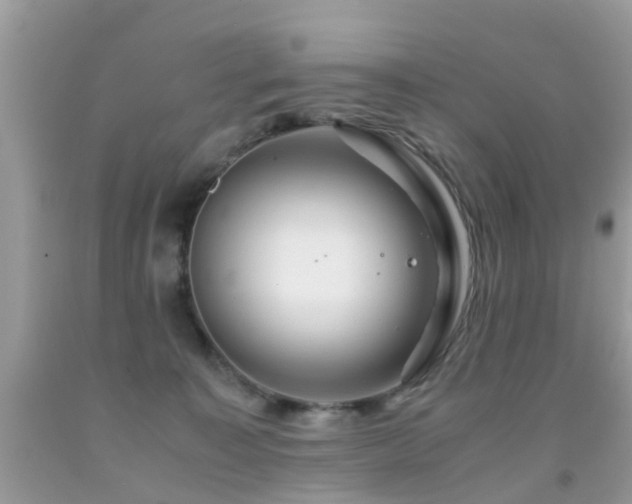 X0000091940323200709051528