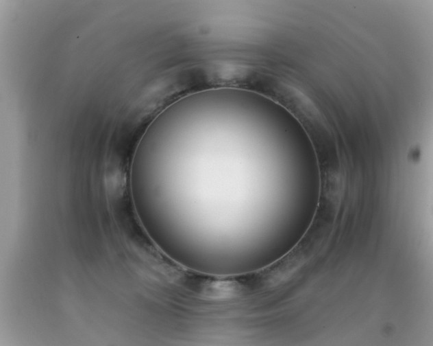 X0000091940324200709051528