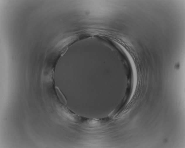 X0000091940325200709051528