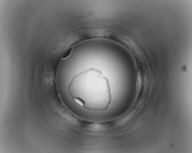 X0000091940326200709051528