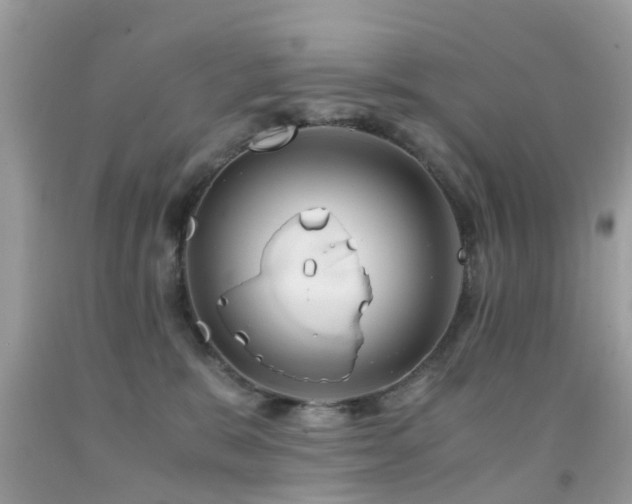 X0000091940327200709051528