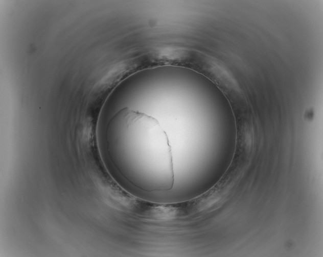 X0000091940328200709051528