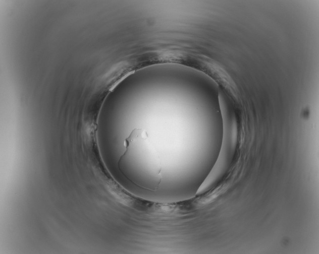 X0000091940329200709051528