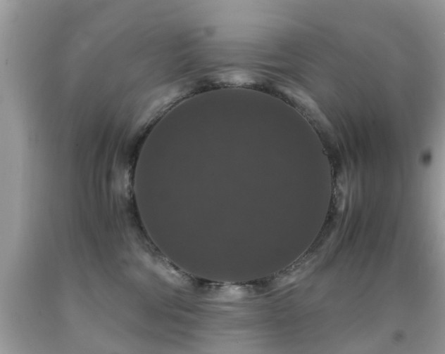 X0000091940330200709051528