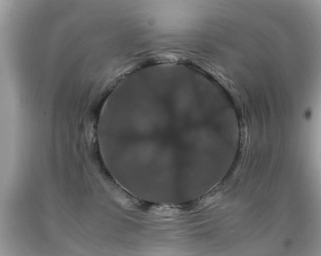 X0000091940331200709051528