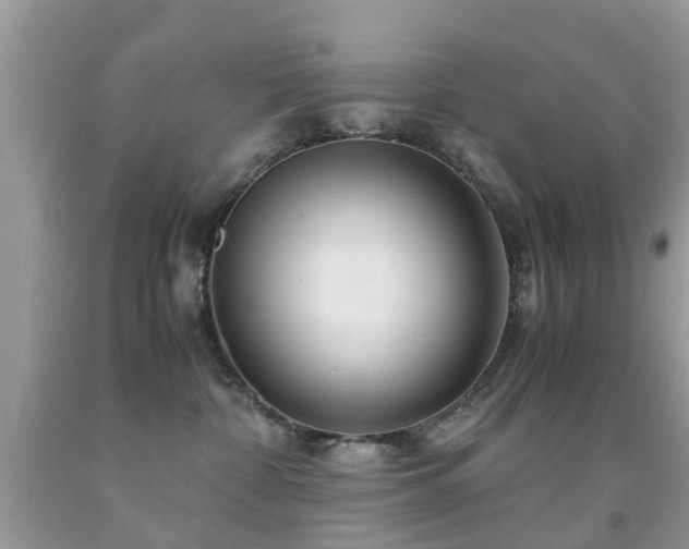 X0000091940332200709051528