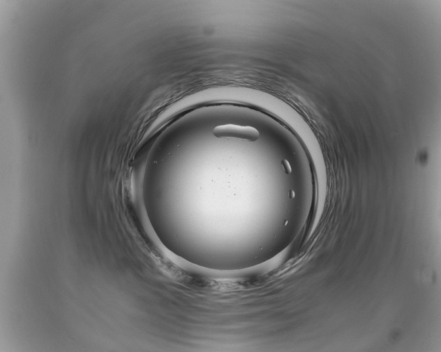 X0000091940333200709051527