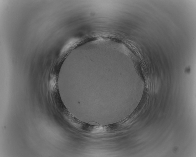 X0000091940335200709051527