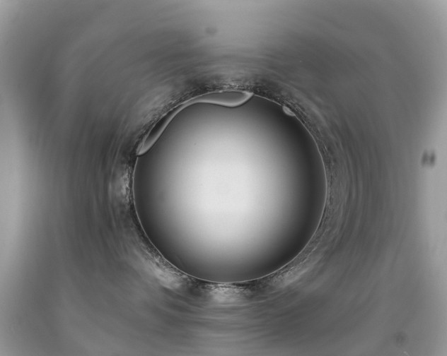 X0000091940336200709051527