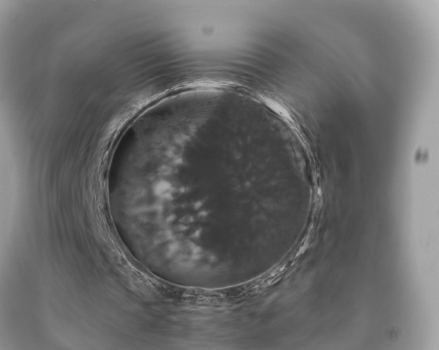 X0000091940337200709051527