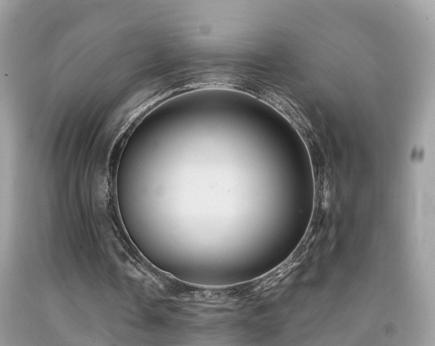 X0000091940338200709051527