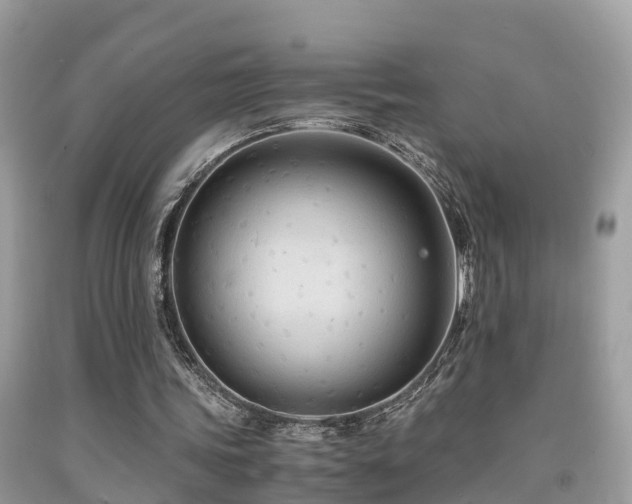 X0000091940339200709051527