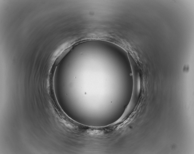 X0000091940340200709051527