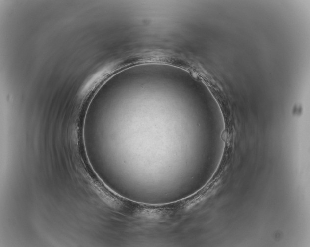 X0000091940341200709051527