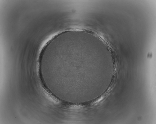 X0000091940342200709051527