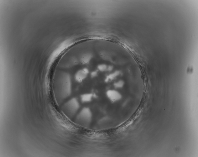 X0000091940343200709051527