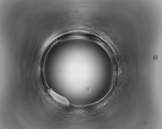 X0000091940344200709051527