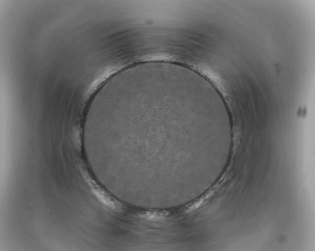 X0000091940345200709051527