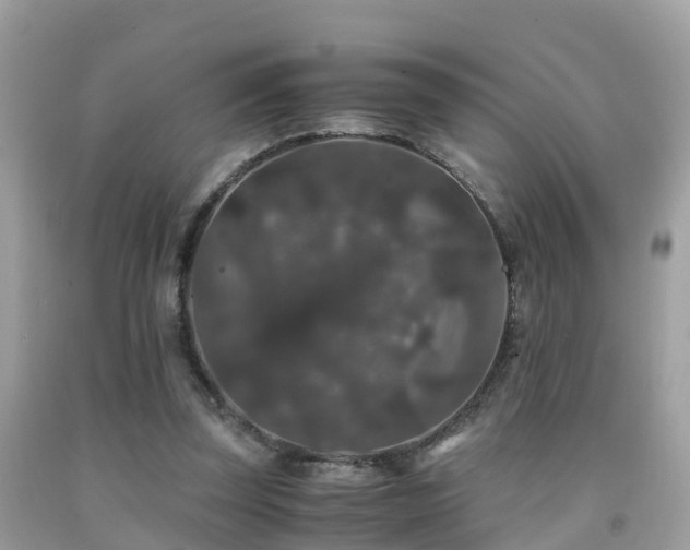 X0000091940347200709051527