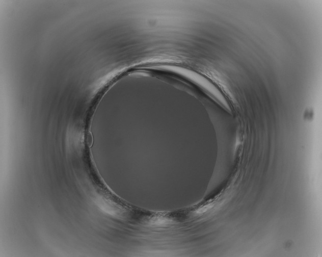 X0000091940348200709051527