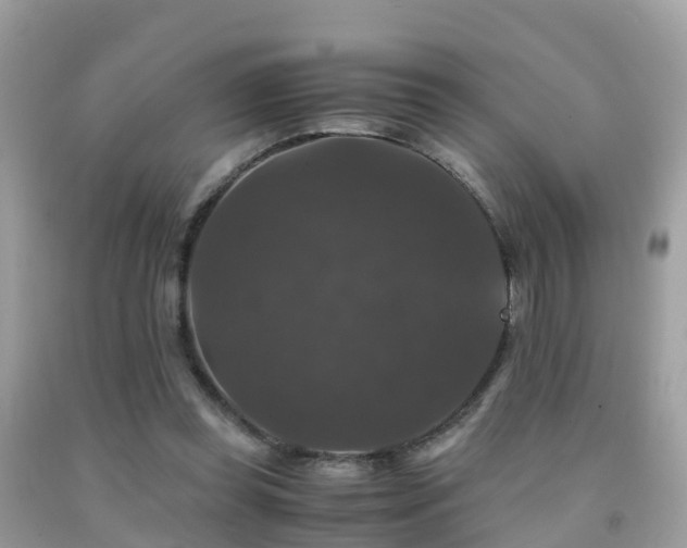 X0000091940349200709051527