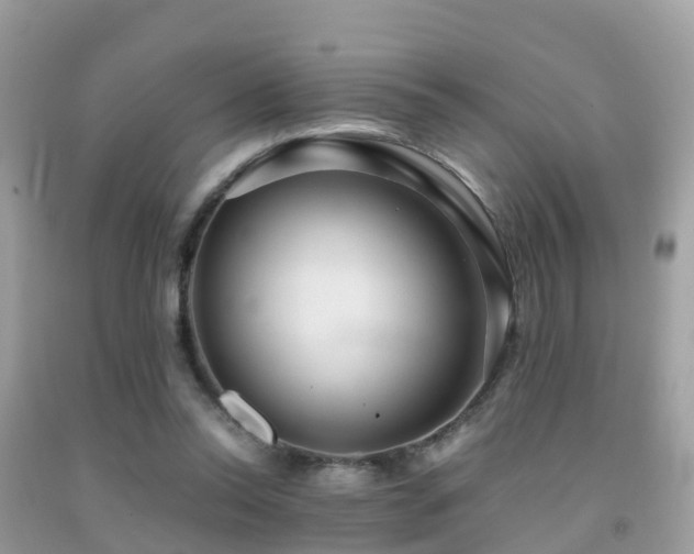 X0000091940350200709051527