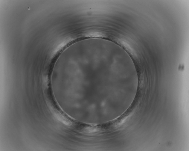 X0000091940351200709051527