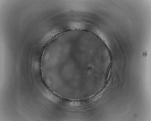 X0000091940353200709051527