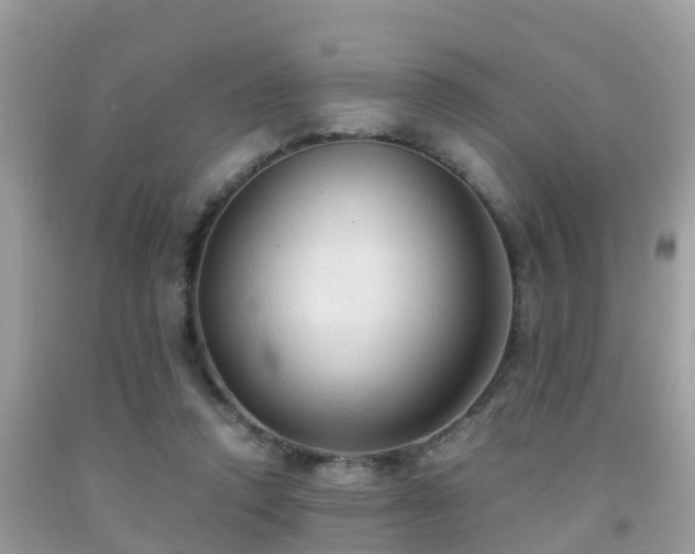 X0000091940354200709051527