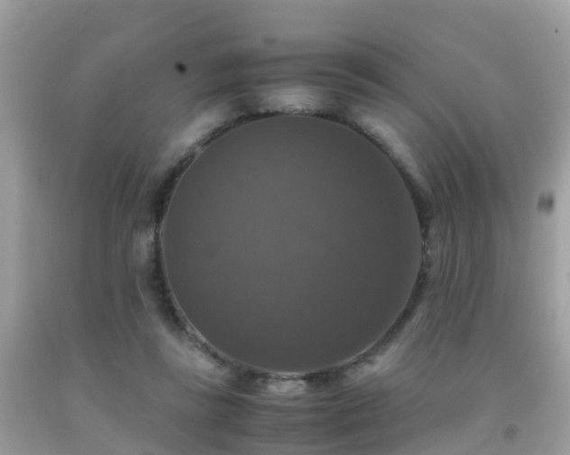 X0000091940355200709051527