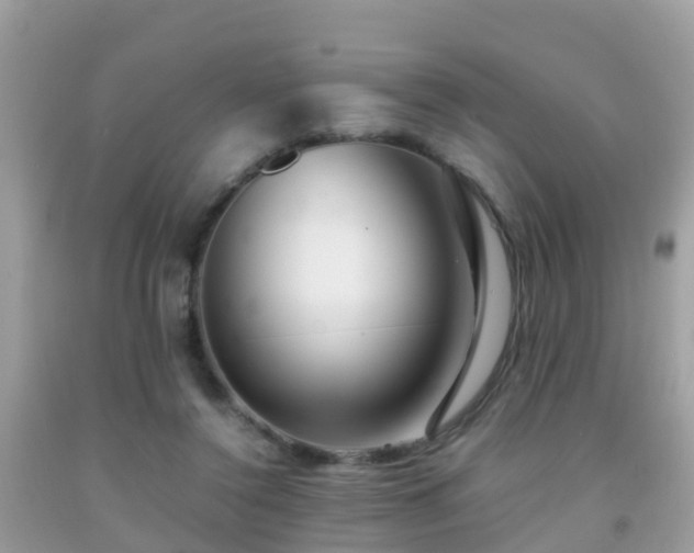 X0000091940356200709051527