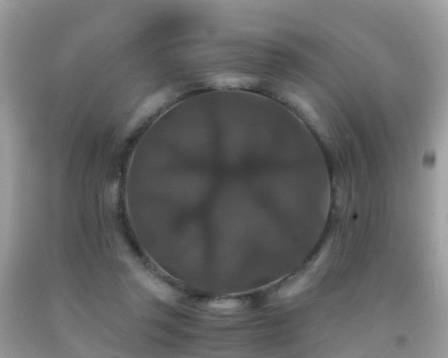 X0000091940357200709051527