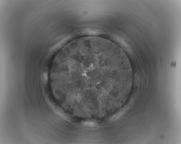 X0000091940358200709051527