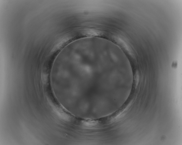 X0000091940359200709051527