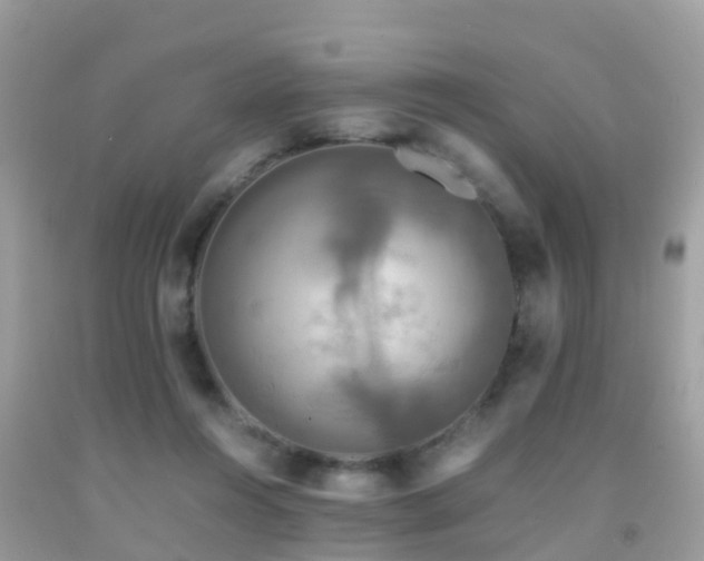 X0000091940360200709051527