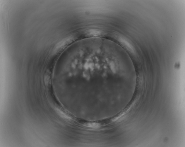 X0000091940361200709051527