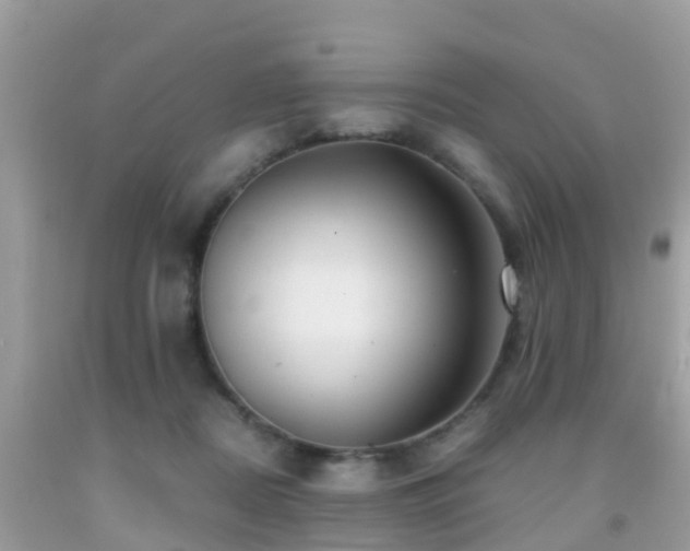 X0000091940362200709051527