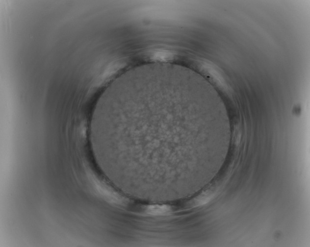 X0000091940363200709051527